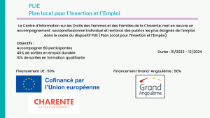 Image de l'affiche FSE pour le PLIE (Plan Local pour l'Insertion et l'Emploi)